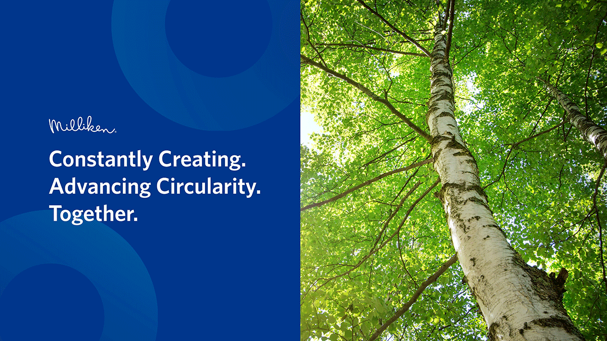 Milliken K 2022 Preview Milliken